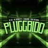 About Pluggbido Song