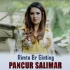 About PANCUR SALIMAR Song