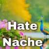 About Hate Nache Song