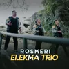About Rosmeri Song