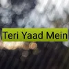 About Teri Yaad Mein Song