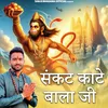 About Sankat Kate Balaji Ji Song