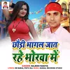 About Chhauri Bhagal Jaat Rahe Bhorwa Me Song