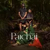 About Patchai Song