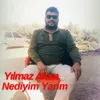 About Nediyim Yarim Song