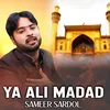 About Ya Ali Madad Song