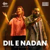 About Dil e Nadan Song