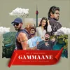 About GAMMAANE Song