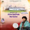 About Jithe Baithde Ne Kutte Song