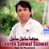 About Sonran Sanwal Sanwal Song