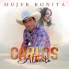 About MUJER BONITA Song