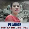 About PELAKOR Song