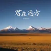 About 君在远方 Song