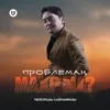 About Проблемаң махр ма? Song