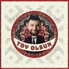 About Toy Olsun Song