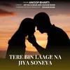 About Tere Bin Laage Na Jiya Soneya Song