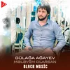 About Mələyim Olarsan Song