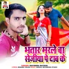 About Bhatar Marle Ba Sejiya Pe Dab Ke Song