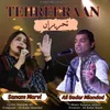 About Tehreeraan Song