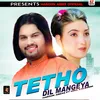 About Tetho Dil Mangeya Song