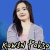 About Kawin Paksa Song