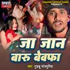 About Ja Jan Baru Bewafa Song