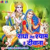 About Radha Tera Shyam Hai Diwana Song