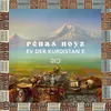 About Ev Der Kurdistan e Song