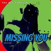 About MISSING YOU Song