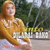 About CINTO DILARAI BAKO Song