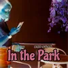 About In the Park Song