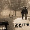 כמה כוח