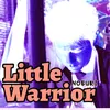 About Little Warrior Song