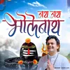 About Jay Jay Bholenath Song