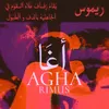 About AGHA Song