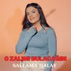 About O Zalımı Bulacağım - Sallama Halay Song