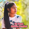 About De Dena Mobile Number Song