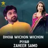 About Dhola Wichon Wichon Piyar Song