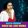 About Suile Na Ase Nidra Song