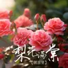 About 梨花满棠 Song