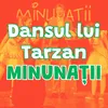 About DANSUL LUI TARZAN Song