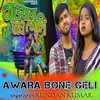 About Awara bane geli Song