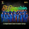 About El Camaleón Song