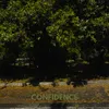 About Confidence Song