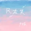 About 风在哭 Song