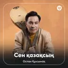 About Сен қазақсың Song