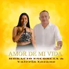 About Amor De Mi Vida Song