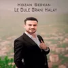 About Le Gule Grani Halay Song