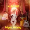 About A GHANI Song