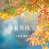 About 你看那风又吹 Song